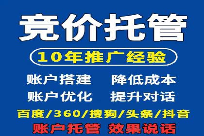 百度竞价与搜索引擎优化（SEO）的协同效应案例